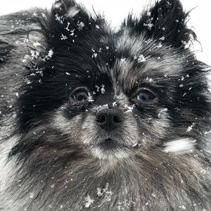 Meet your Posher, Jacquelyn